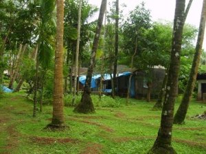 Village home nestled in the coconut grove (c) Sam Rappaz